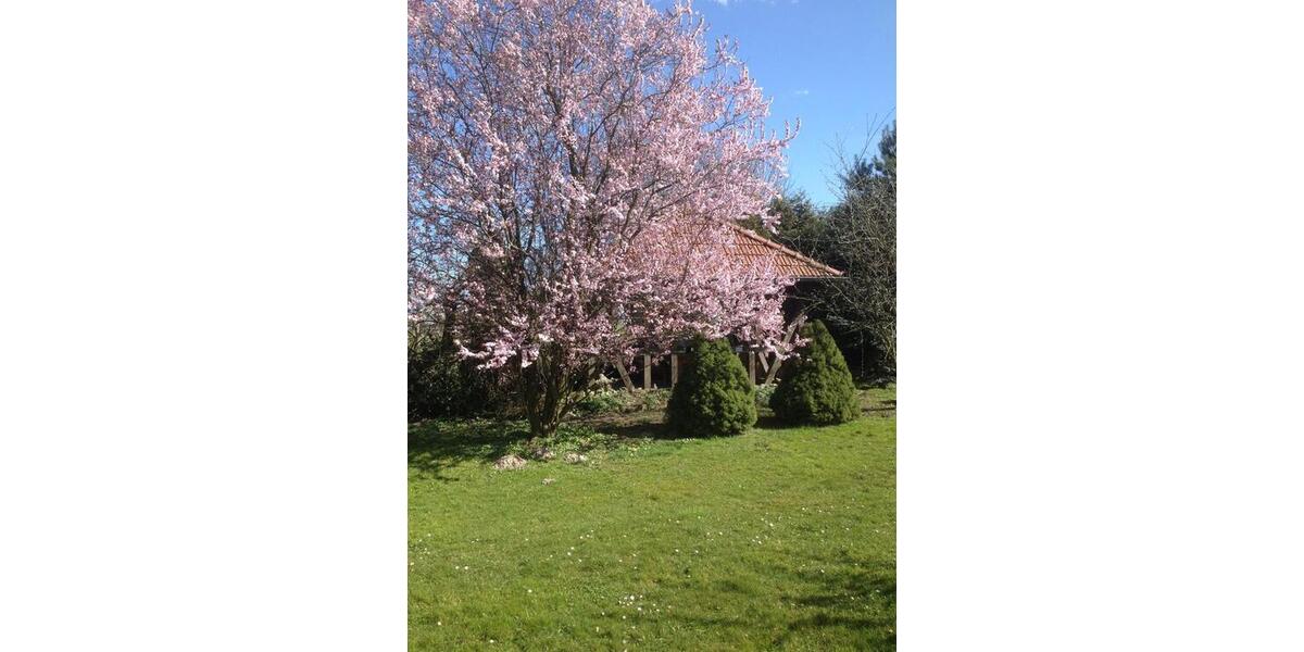 Dachgeschoßwohnung Wriezen - 3 Zimmer, 75 m&sup2;, 470&euro; | Angebot:25135574