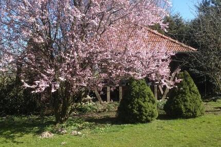 Wohnung Wriezen - 3 Zimmer, 75 m&sup2;, 470&euro; | Angebot:25135574