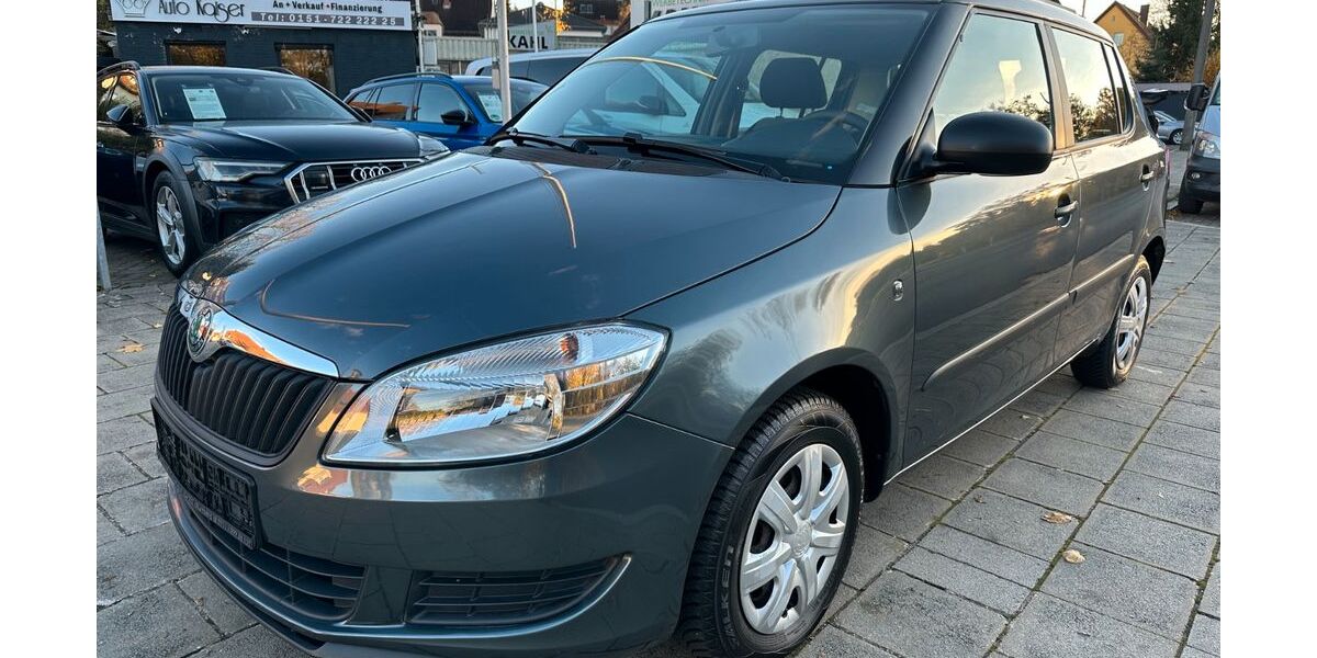 Skoda Fabia 132.173 km 3.499 € Nürnberg 90482