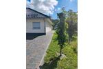 Bungalow Spremberg - 450.000&euro; | Angebot:26994217