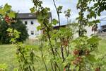 Mehrfamilienhaus, Wohnhaus Pfreimd - 7 Zimmer, 200 m&sup2;, 398.000&euro; | Angebot:25731600