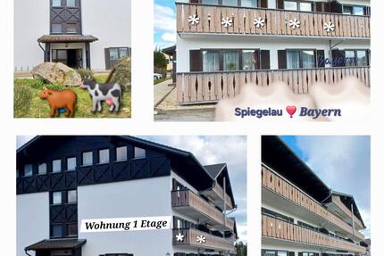 Wohnung Spiegelau - 2 Zimmer, 56 m&sup2;, 110.000&euro; | Angebot:27281895