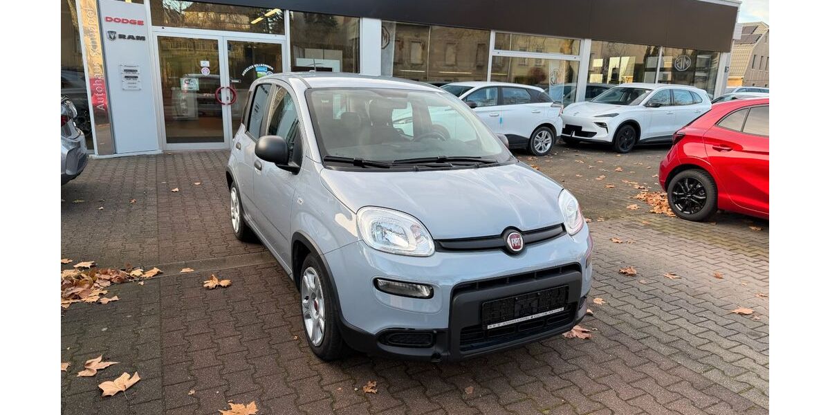 Fiat Panda 81.000 km 8.990 &euro; Burgstädt 09217