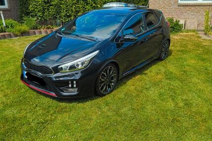 Kia ceed / Ceed 202.000 km 7.300 &euro; Osnabrück 49082