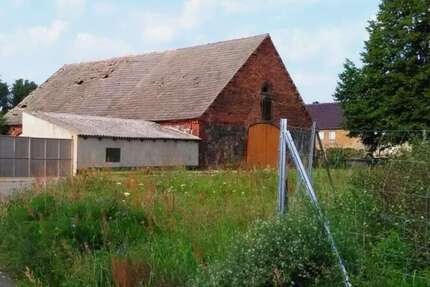 Grundstück zu verkaufen in Freywalde 39.900 € 1276 m² - Grundstück Freywalde Freywalde | Angebot:25216263