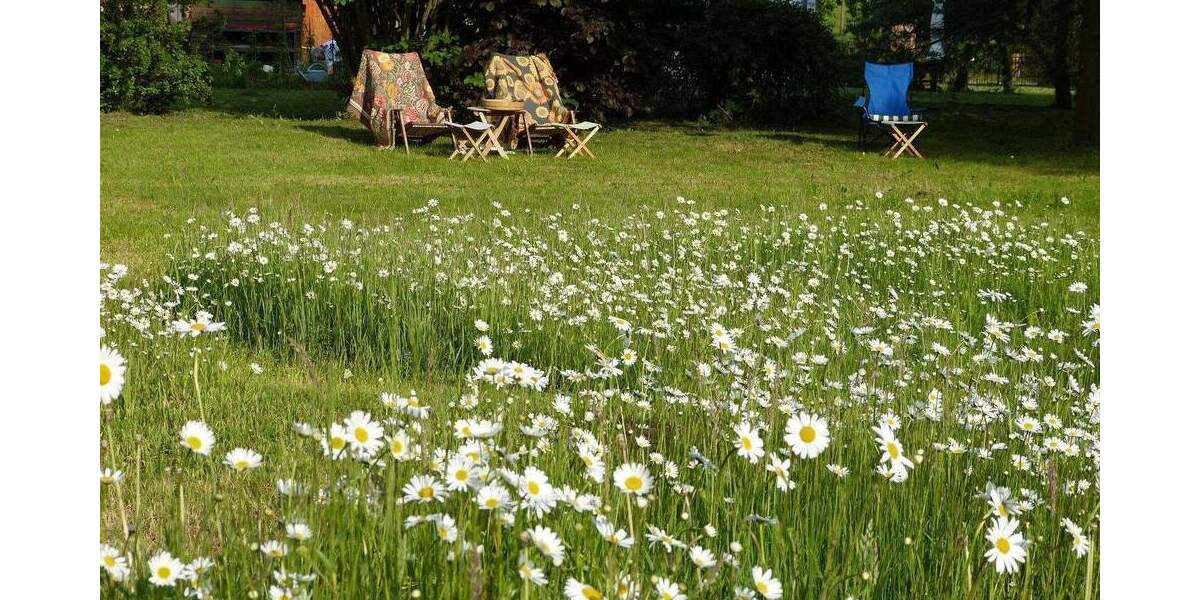 Etagenwohnung Angermünde OT Altkünkendorf Altkünkendorf - 4 Zimmer, 123 m&sup2;, 380.000&euro; | Angebot:25728392