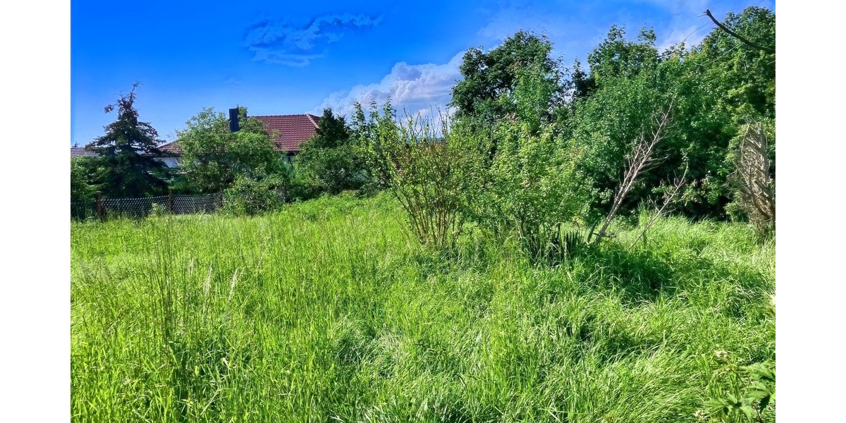 Doppelhaushälfte Sangerhausen - 6 Zimmer, 130 m&sup2;, 69.000&euro; | Angebot:25743667
