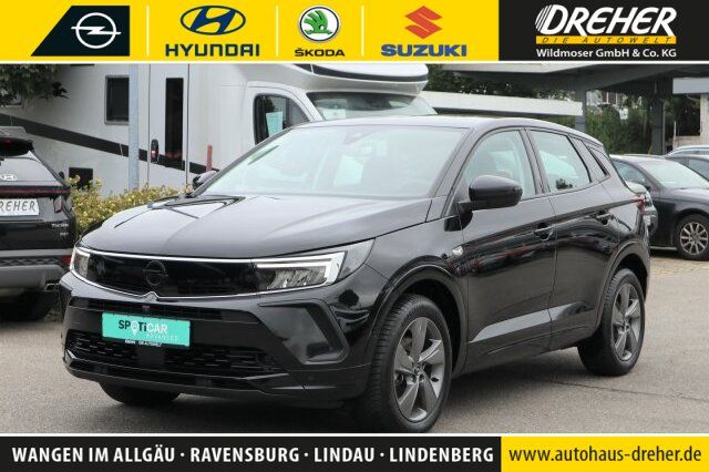 Opel Grandland (X) 24.556 km 25.490 &euro; Wangen 88239