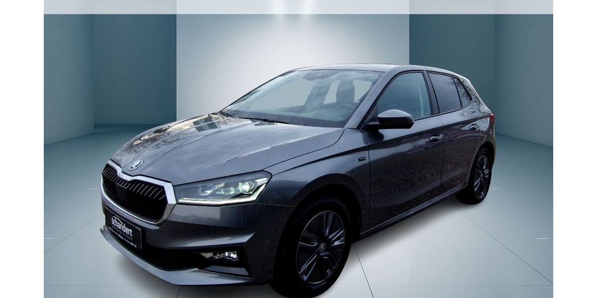Skoda Fabia 20.756 km 22.220 &euro; Jessen 06917