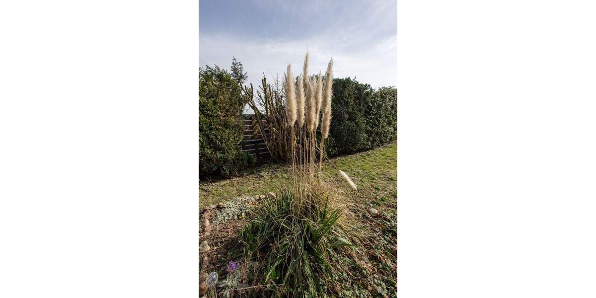 Reihenendhaus Niederndodeleben Niederndodeleben - 5 Zimmer, 102 m&sup2;, 250.000&euro; | Angebot:25984574