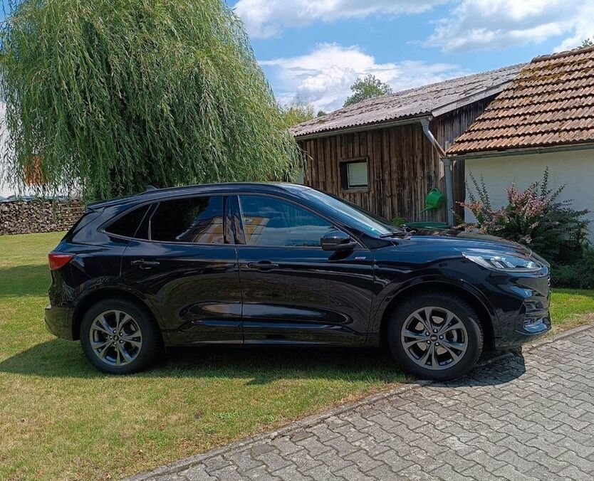 Kuga