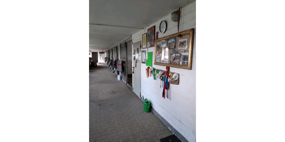 Erdgeschoßwohnung Henstedt-Ulzburg Ulzburg - 2 Zimmer, 30 m&sup2;, 650&euro; | Angebot:26036274