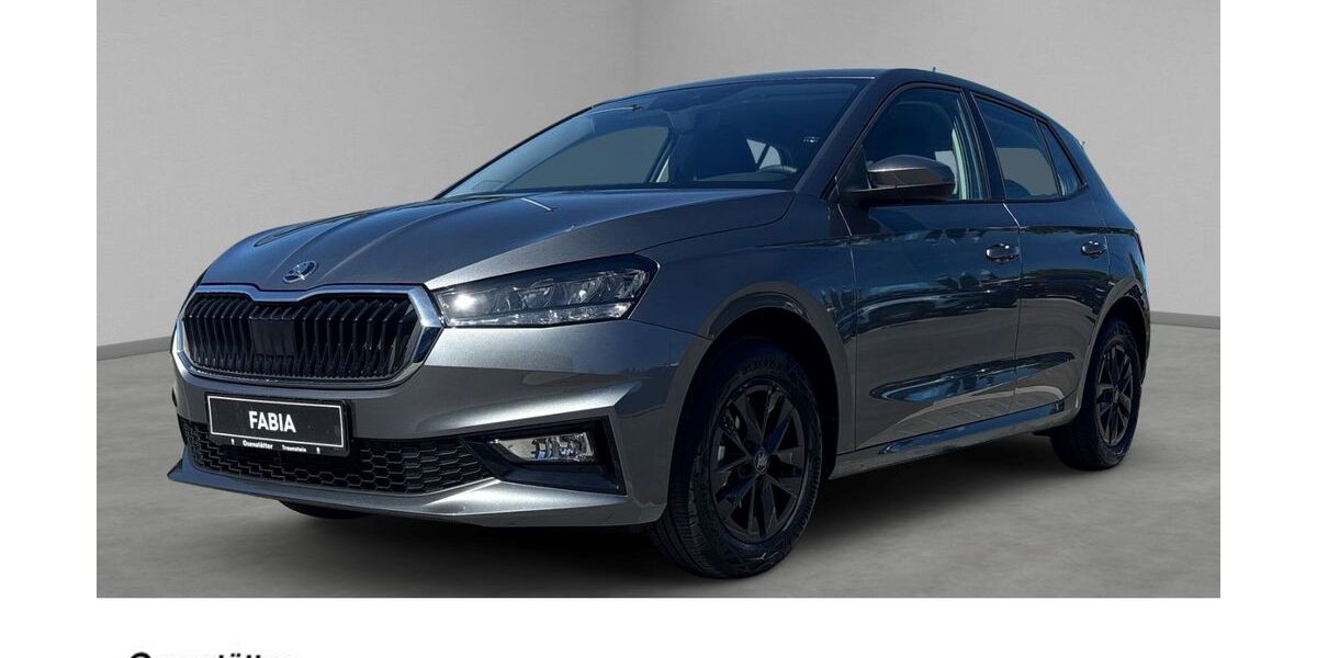 Skoda Fabia 5.200 km 18.230 &euro; Traunstein 83278