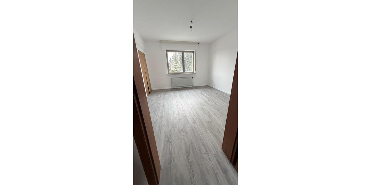 Großzügiges, frisch renoviertes Zweifamilienhaus mit Garten – Plankstadt 8 zimmer