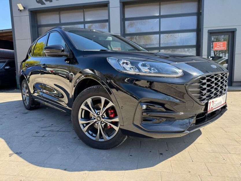 Kuga