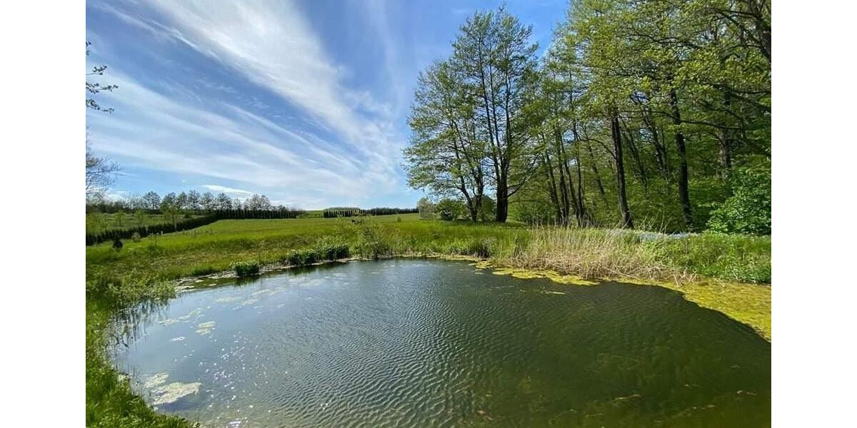 Ferienimmobilie Dresden Plauen - 100&euro; | Angebot:25964585