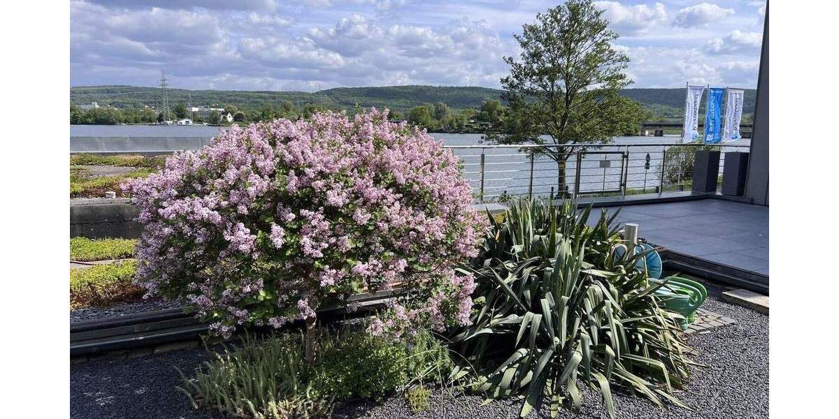 Mehrfamilienhaus, Wohnhaus Wetter Alt-Wetter - 6 Zimmer, 200 m&sup2;, 990.000&euro; | Angebot:25701040