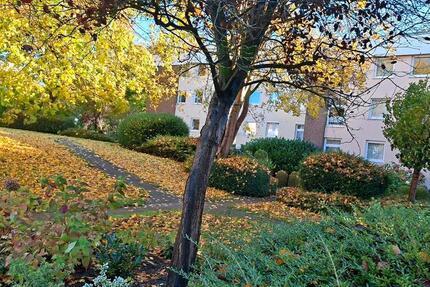 4-Zimmerwohnung in Rendsburg zu vermieten 4 zimmer