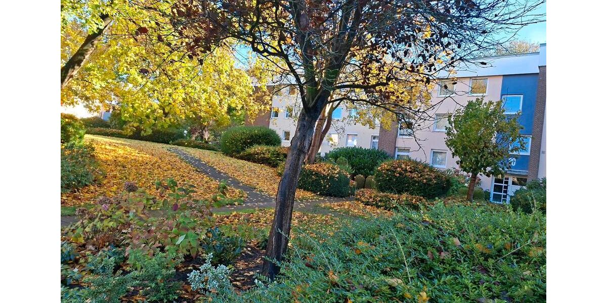 4-Zimmerwohnung in Rendsburg zu vermieten 4 zimmer