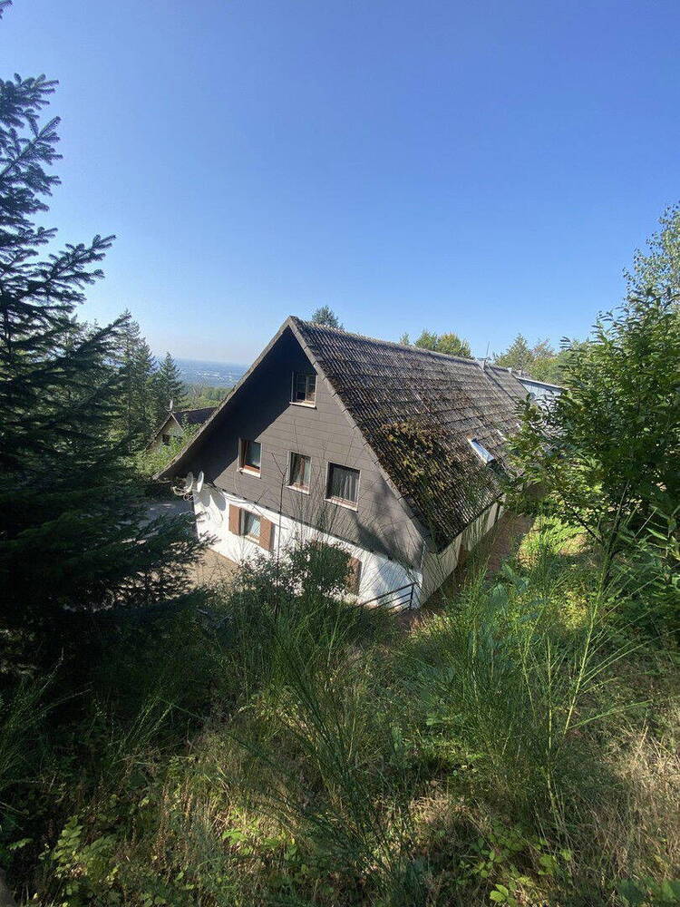 1,5 Zimmer Wohnung am Waldrand