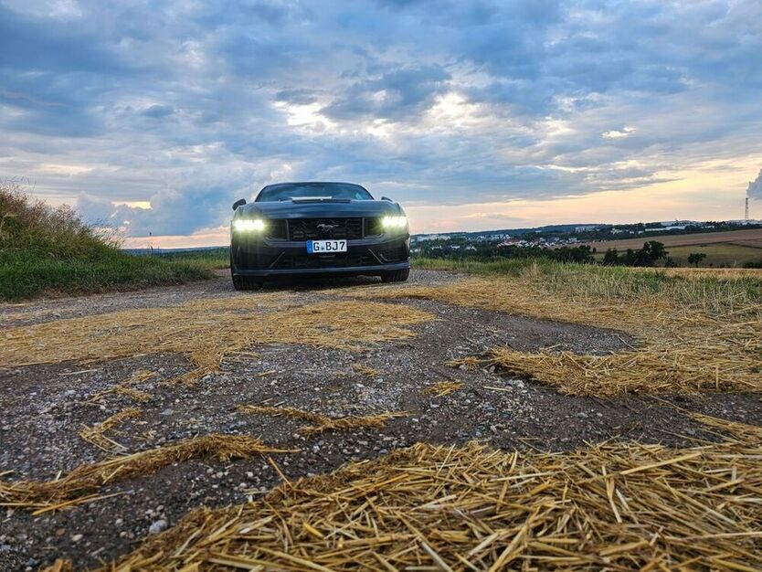 Mustang