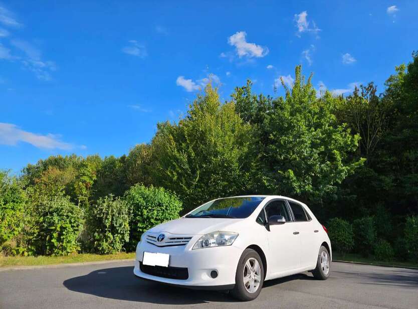 Auris