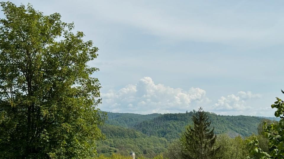 Einfamilienhaus Bad Lauterberg im Harz - 6 Zimmer, 152 m&sup2;, 379.000&euro; | Angebot:26518259