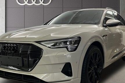 Audi Q8 e-tron 51.242 km 54.430 &euro; Speyer 67346