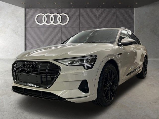Audi Q8 e-tron 51.242 km 55.990 &euro; Speyer 67346