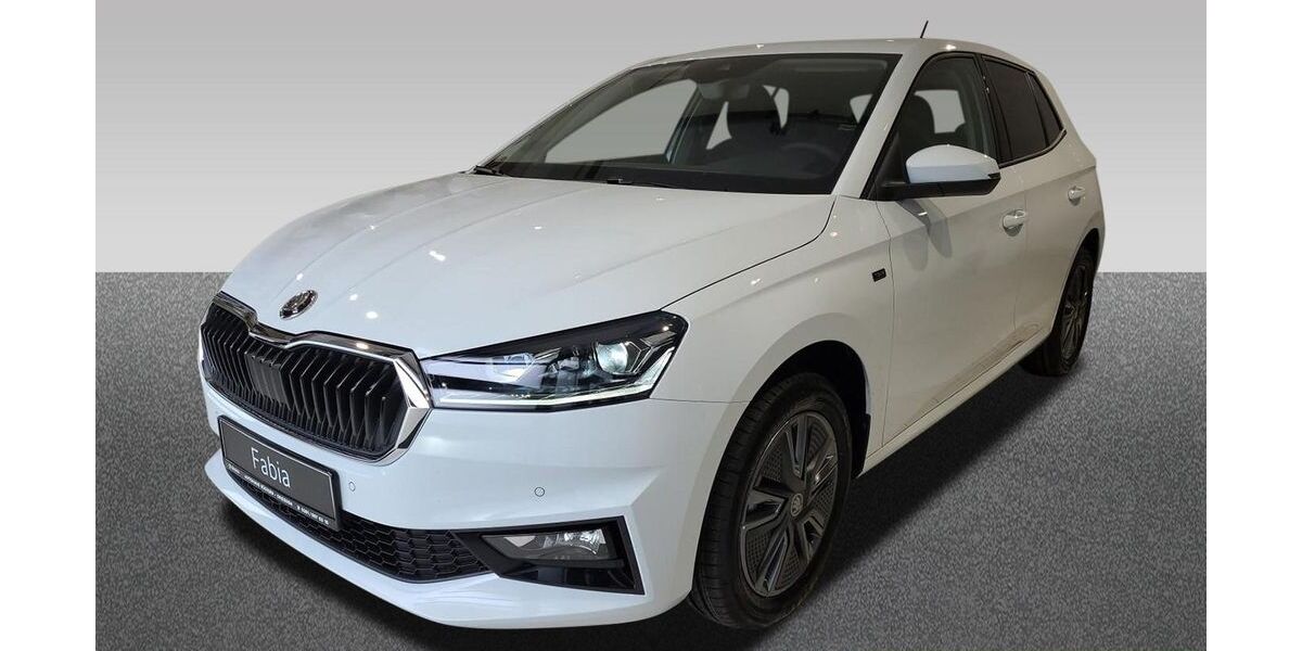 Skoda Fabia 2.501 km 20.990 &euro; Dresden 01067