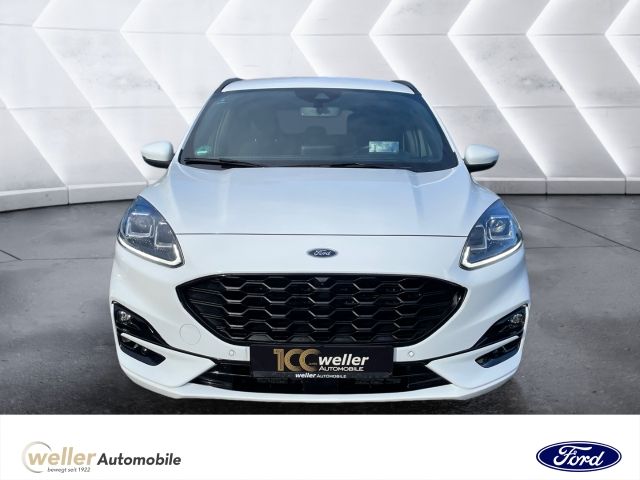 Kuga