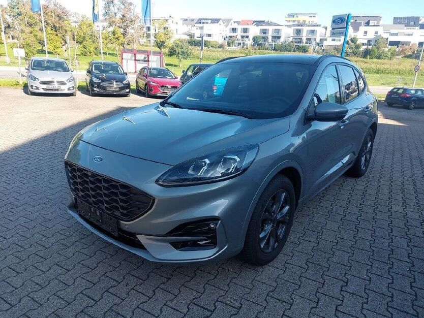 Kuga