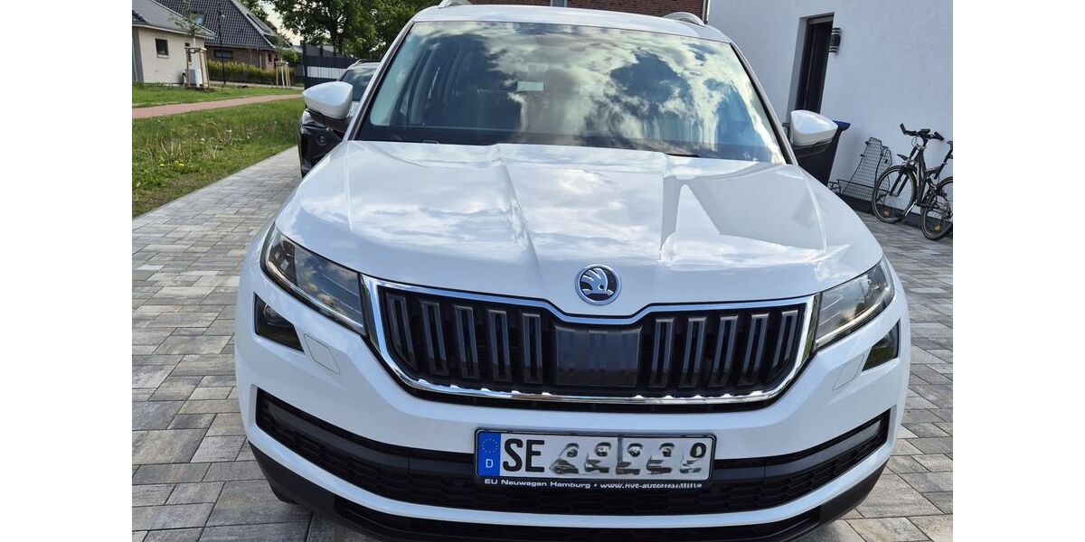 Skoda Kodiaq 70.000 km 28.490 &euro; Seth 23845