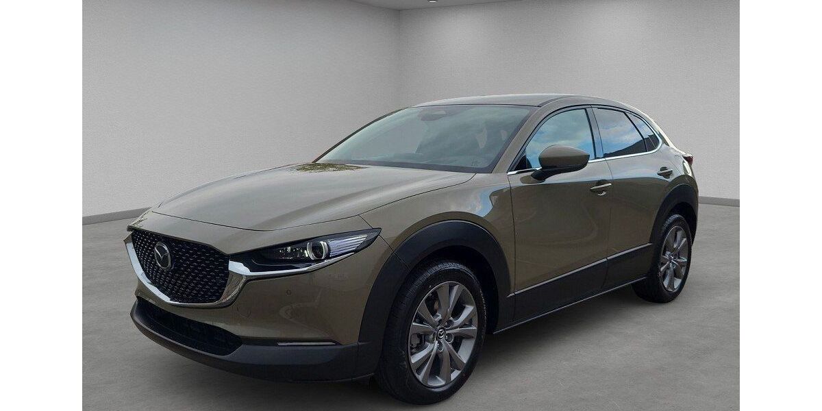 Mazda CX-30 3.800 km 32.000 &euro; Boizenburg 19258