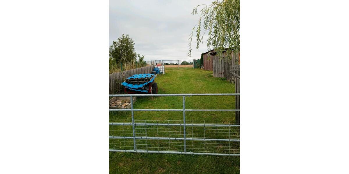 Bauernhaus, Landhaus Oschatz - 6 Zimmer, 180 m&sup2;, 290.000&euro; | Angebot:23040625