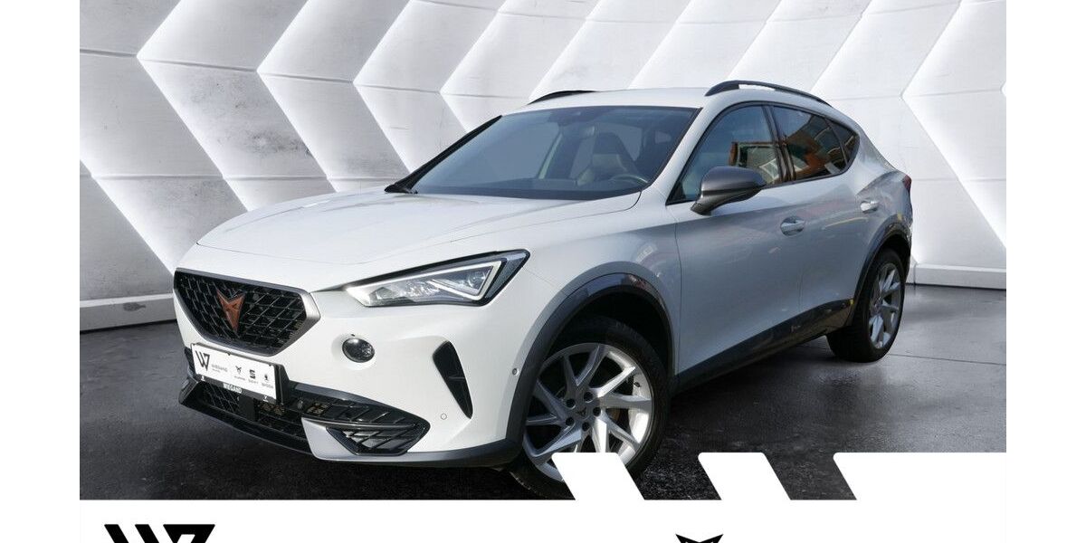 Cupra Formentor 133.832 km 24.904 &euro; Büdingen-Düdelsheim 63654