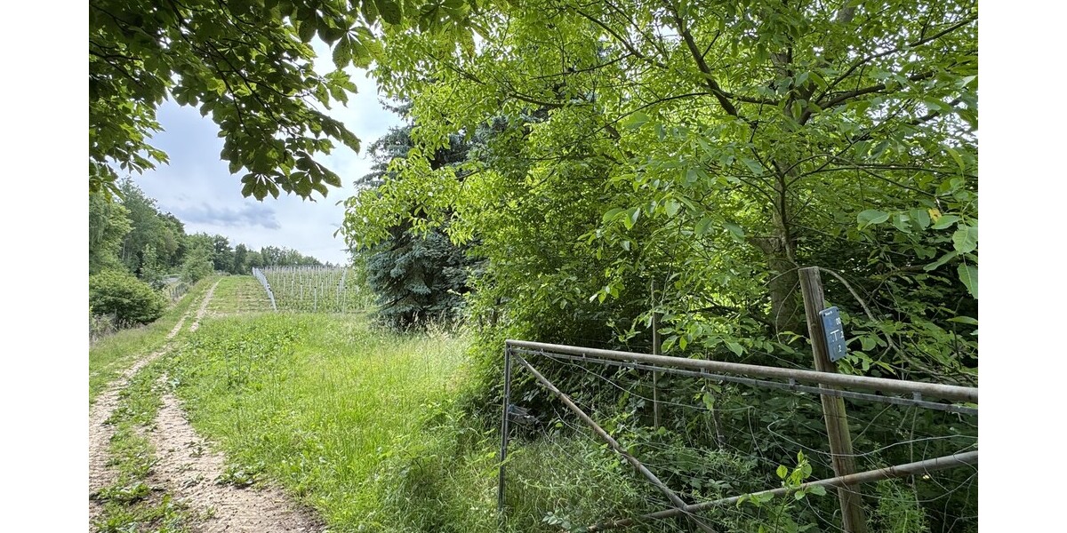 Der Neuenhof - Gewerbeobjekt Remagen | Angebot:24748296