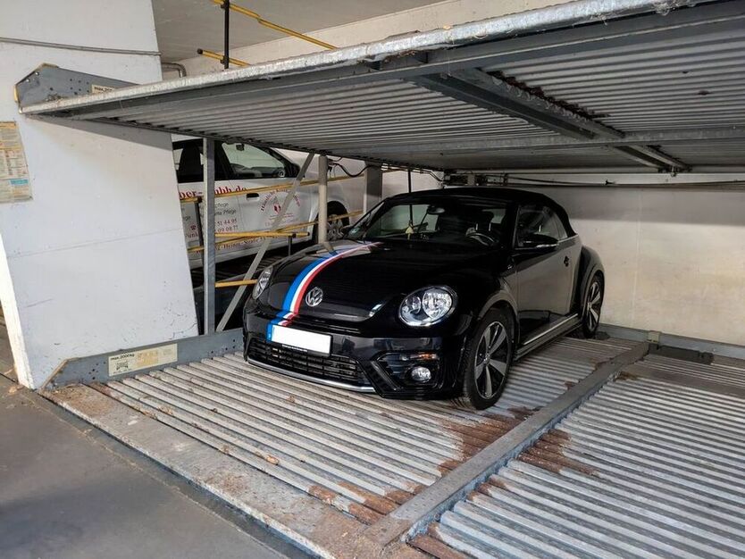 Beetle
