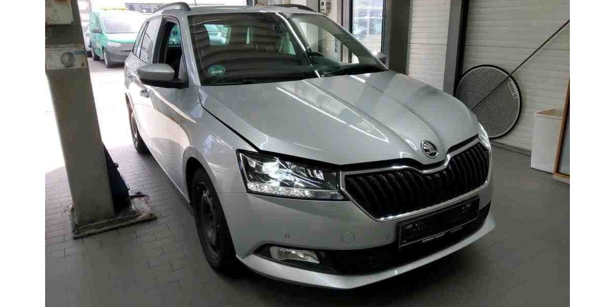 Skoda Fabia 35.484 km 17.500 &euro; Sasbach 77880