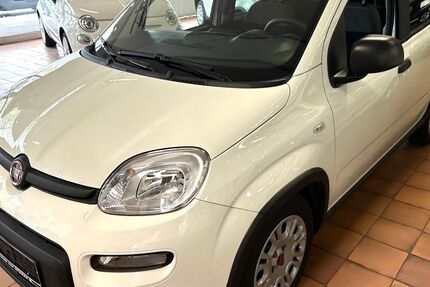 Fiat Panda 8.032 km 11.900 € Bremen 28217