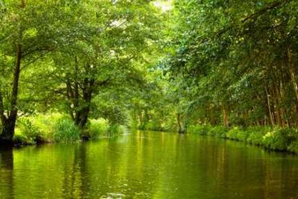 Haus Burg - 9 Zimmer, 191 m&sup2;, 450.000&euro; | Angebot:15719659