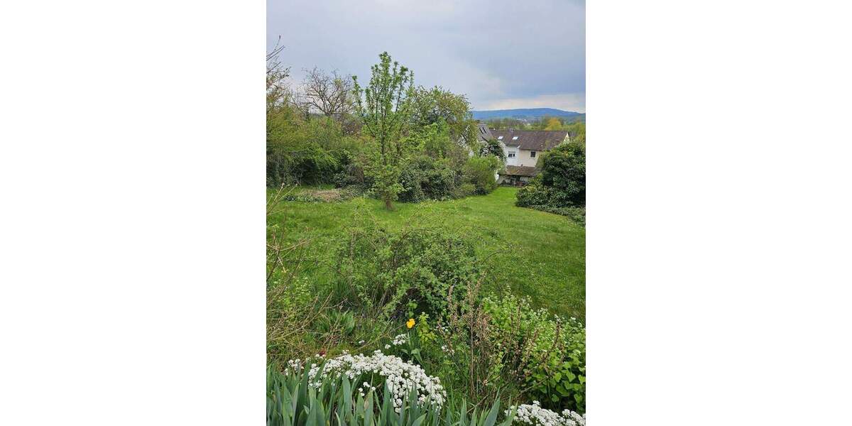 Grundstück Forchheim Reuth - 229.000&euro; | Angebot:26308493