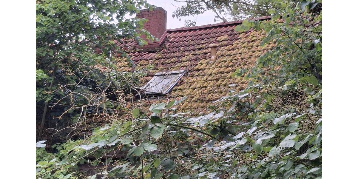 Einfamilienhaus Tutow - 4 Zimmer, 300 m&sup2;, 10.000&euro; | Angebot:27133691
