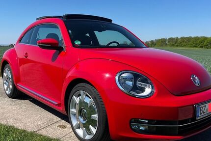 VW Beetle