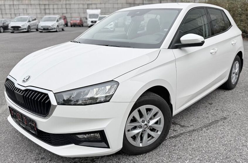 Skoda Fabia 20.900 km 17.200 € Willich 47877