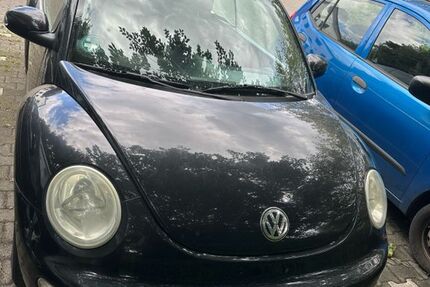 VW Beetle