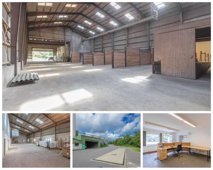 Halle in Sieverstedt 1.800 € 800 m²