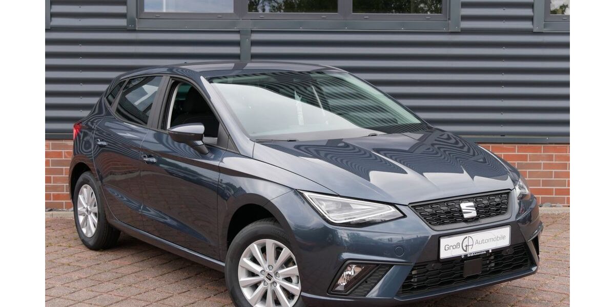 Seat Ibiza 1.500 km 24.790 € Schneeberg 08289