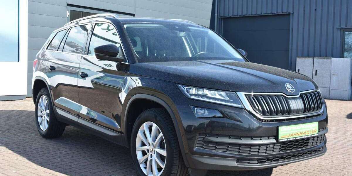 Skoda Kodiaq 199.250 km 19.900 &euro; Aschersleben 06449