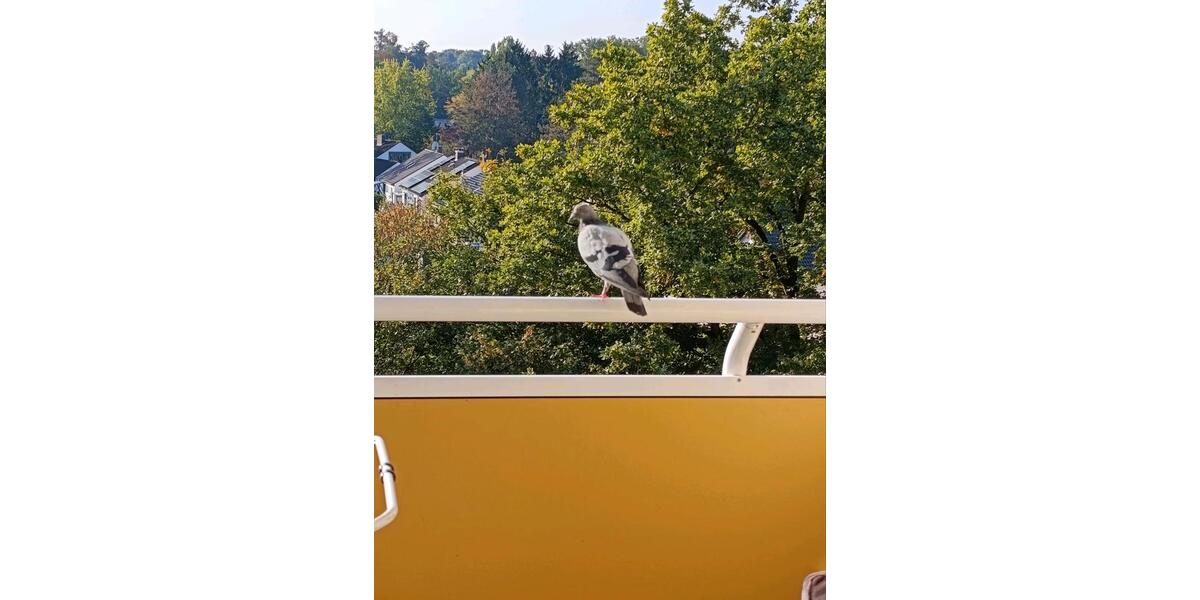 Etagenwohnung Offenbach am Main Buchrain - 3 Zimmer, 73 m&sup2;, 670&euro; | Angebot:25512368